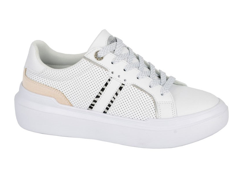 L 480G ZENA Cipriata